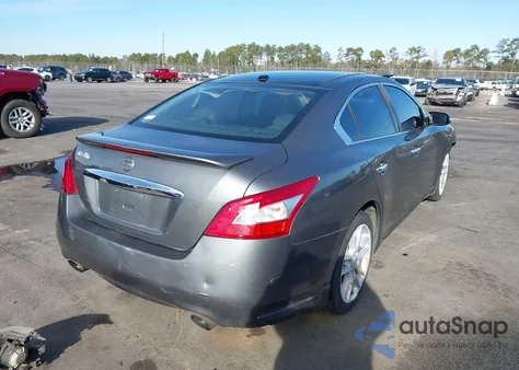 2010 Nissan Maxima 3.5 Sv z USA, uszkodzony, nr VIN 1N4AA5AP8AC807026